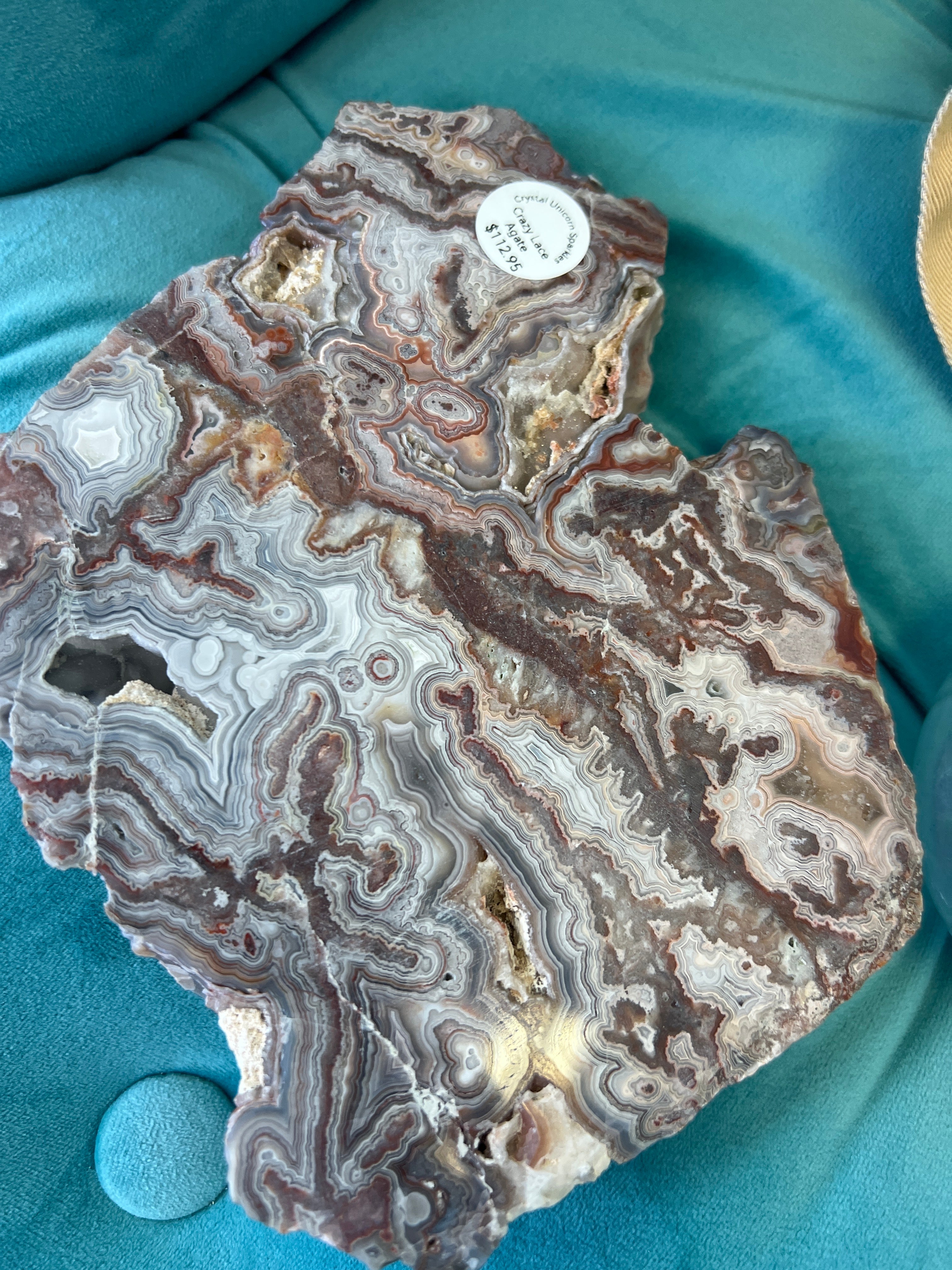 Crazy Lace agate Slice