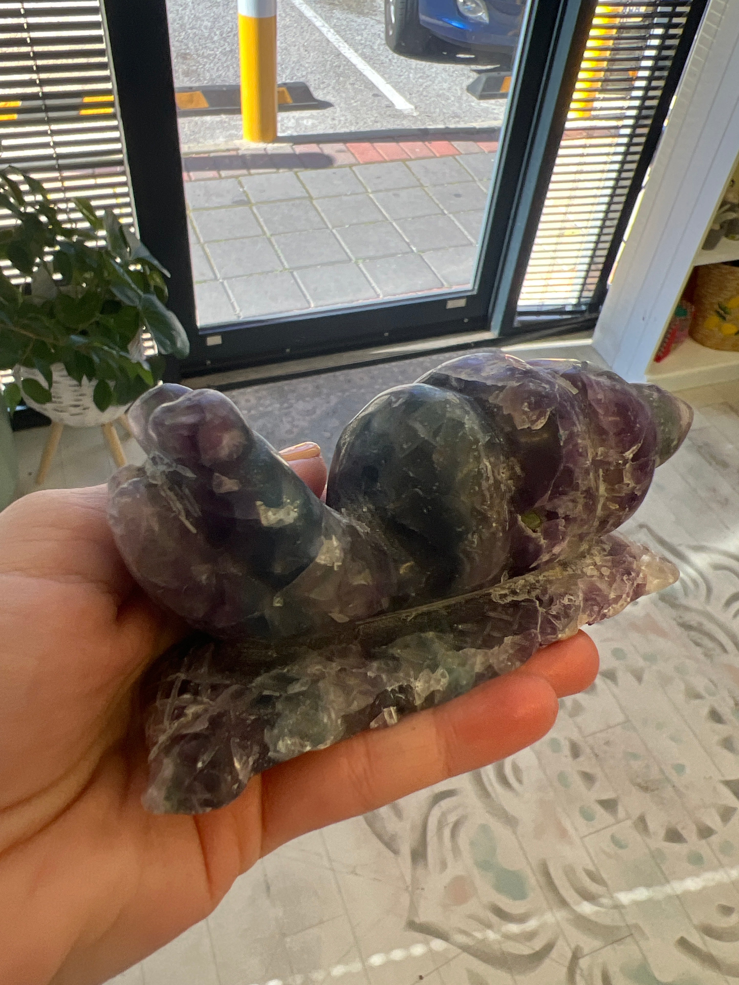 Fluorite Snail