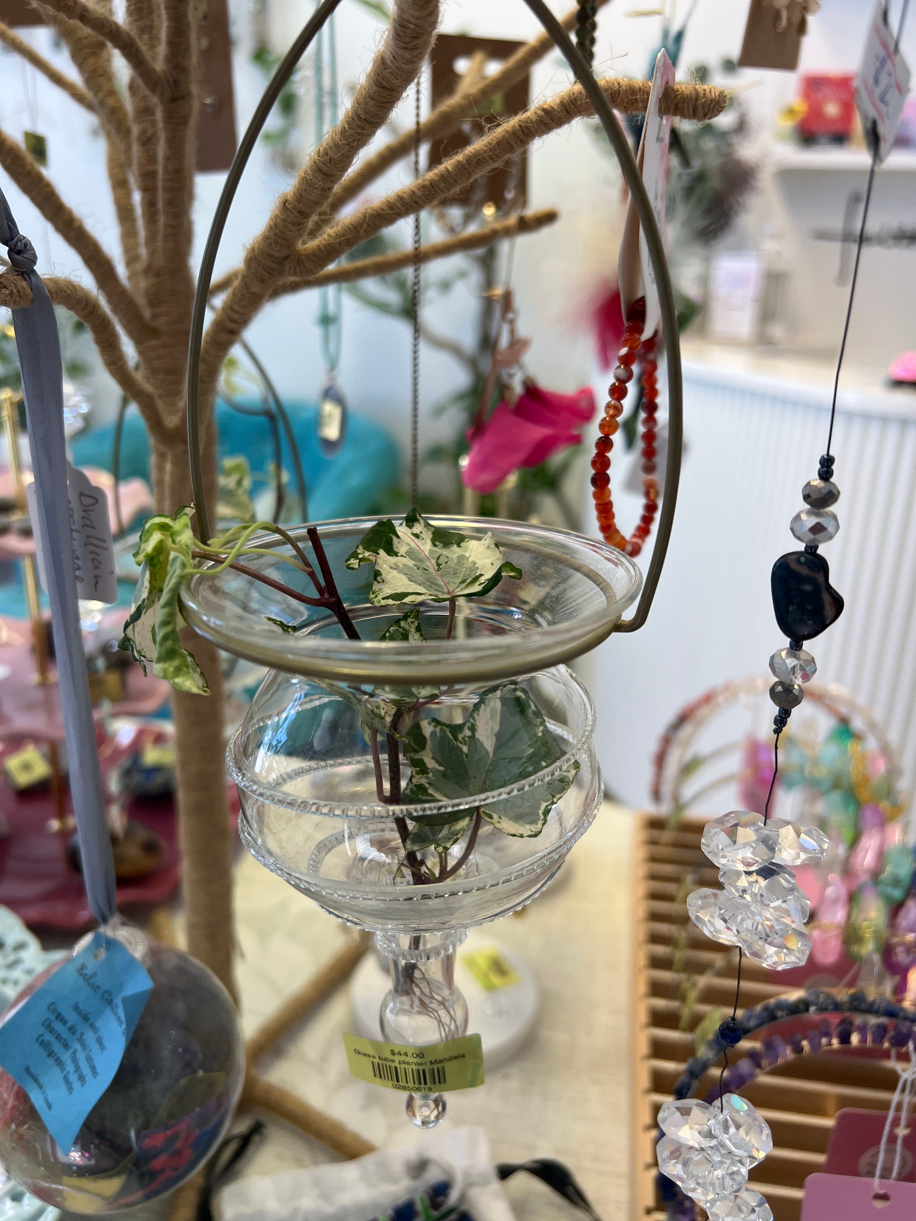 Glass tube planter
