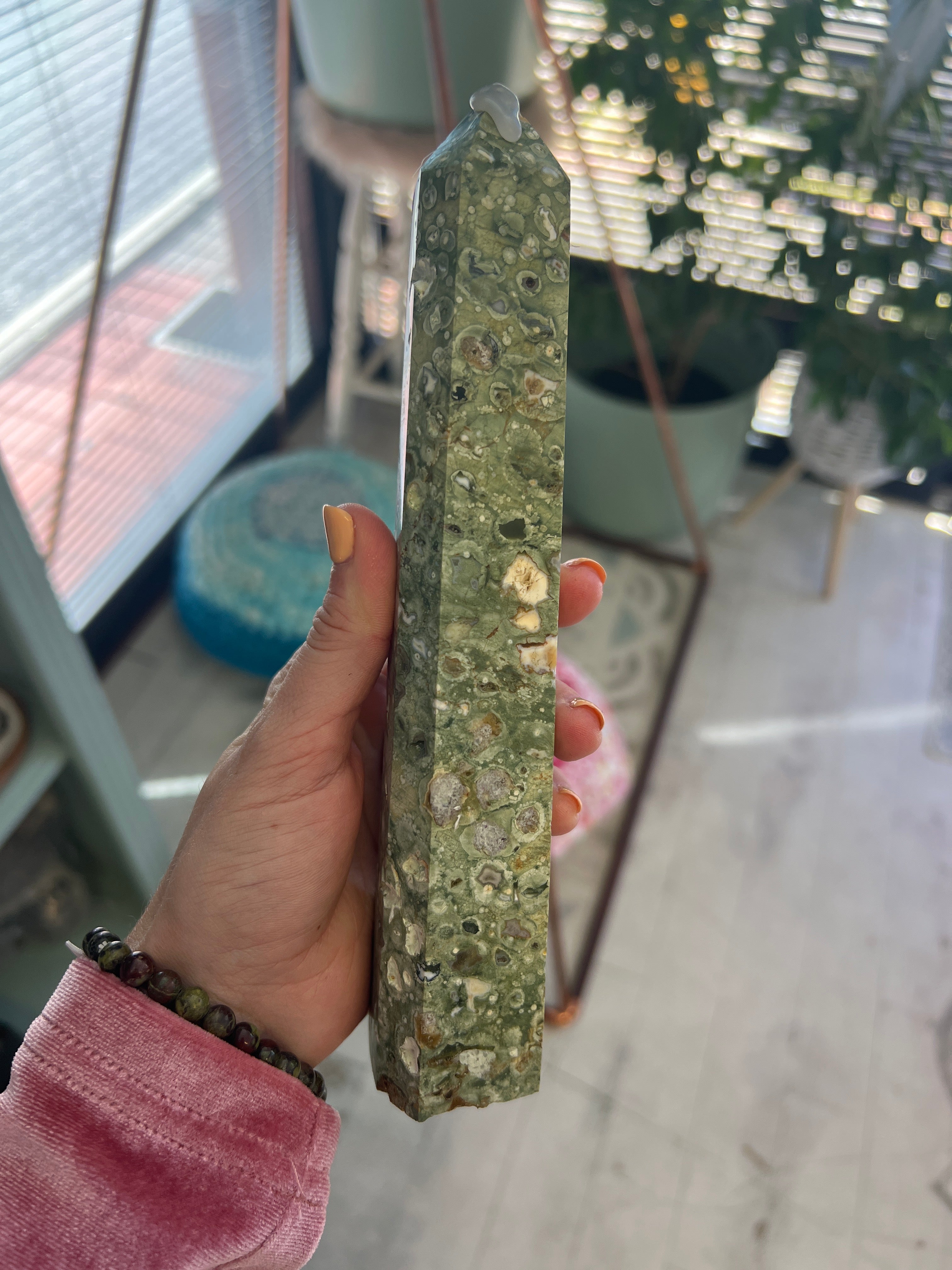Rainforest Jasper