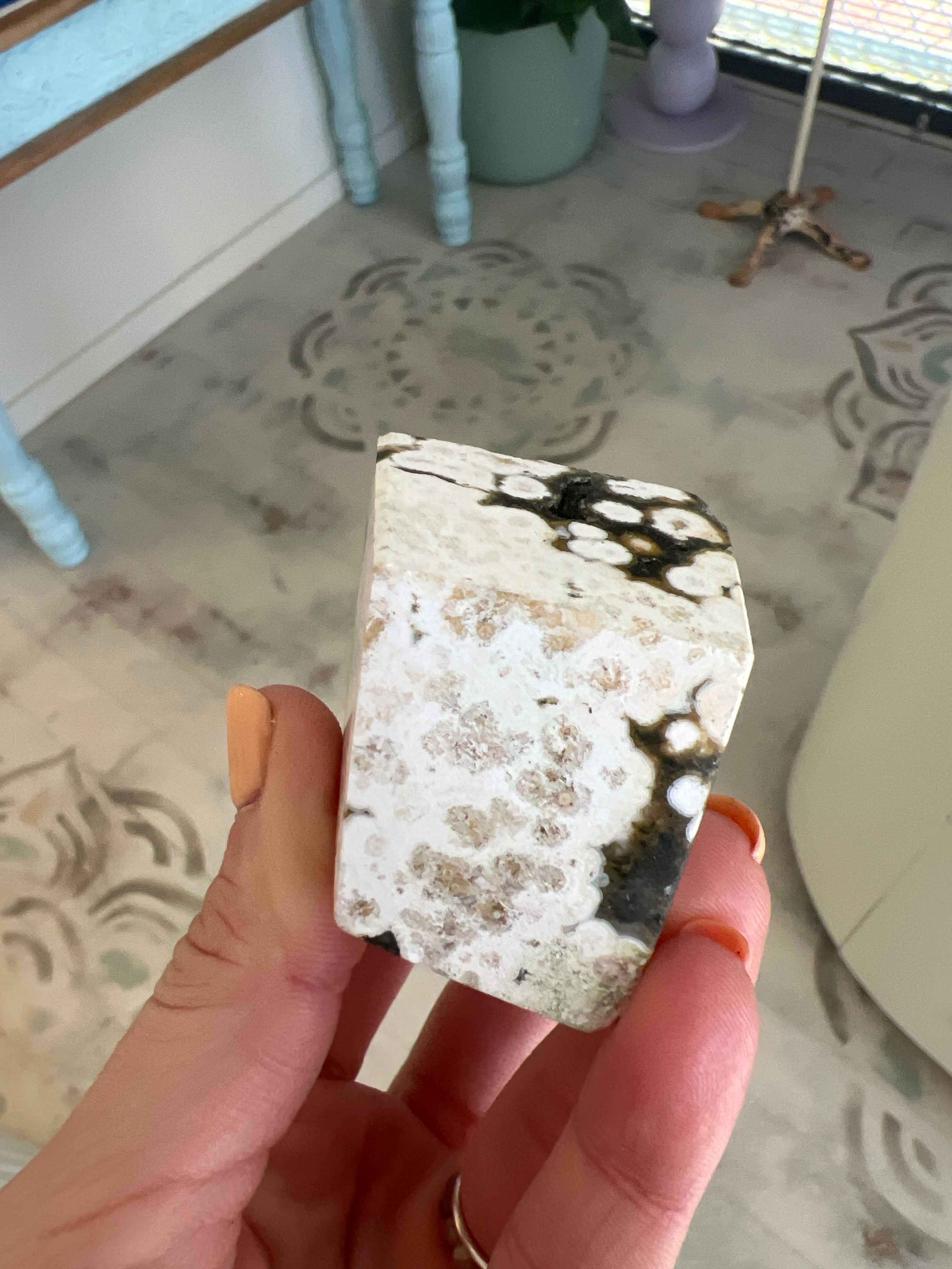 Ocean Jasper Free Form