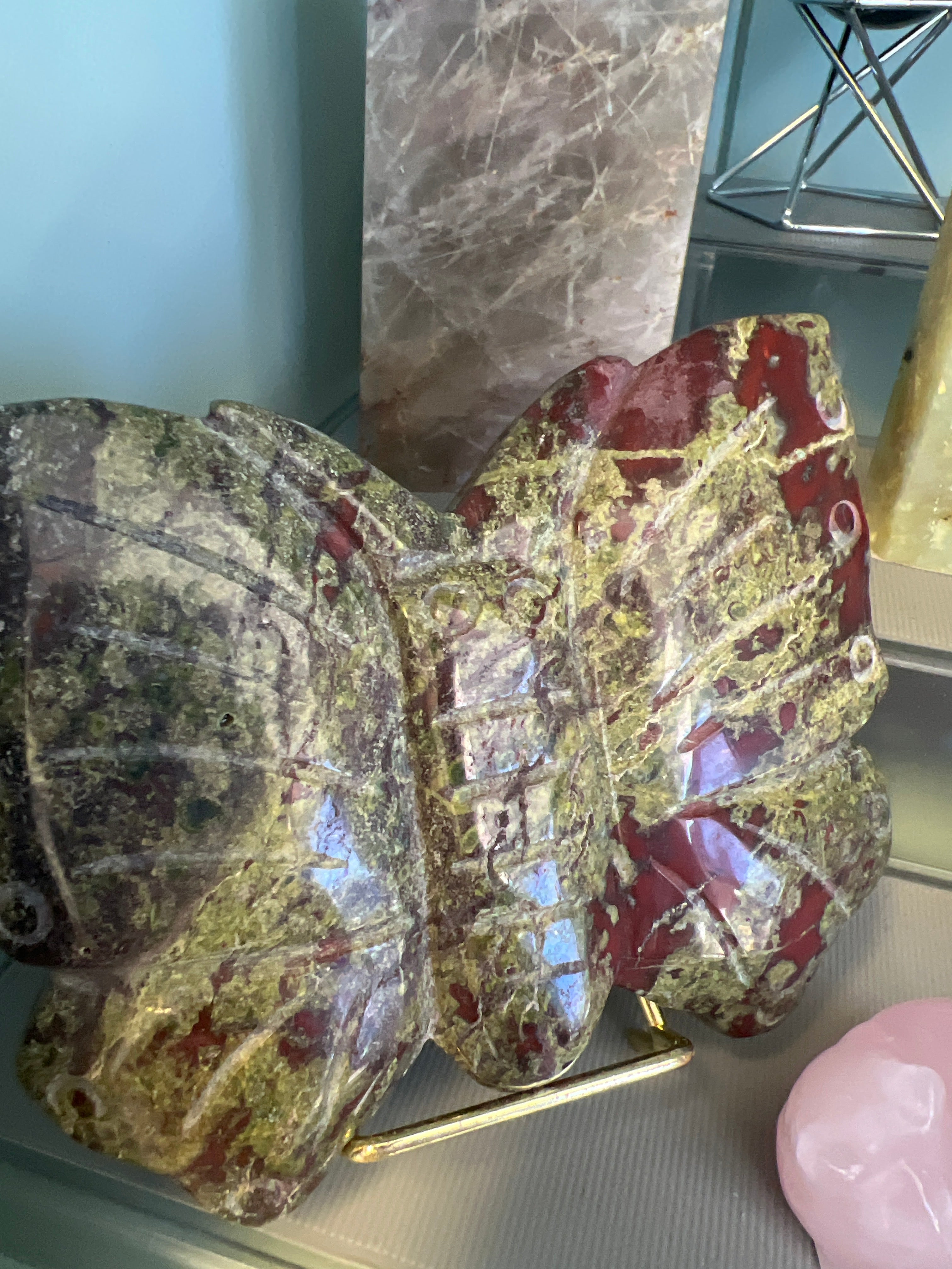 Dragon Blood Butterfly