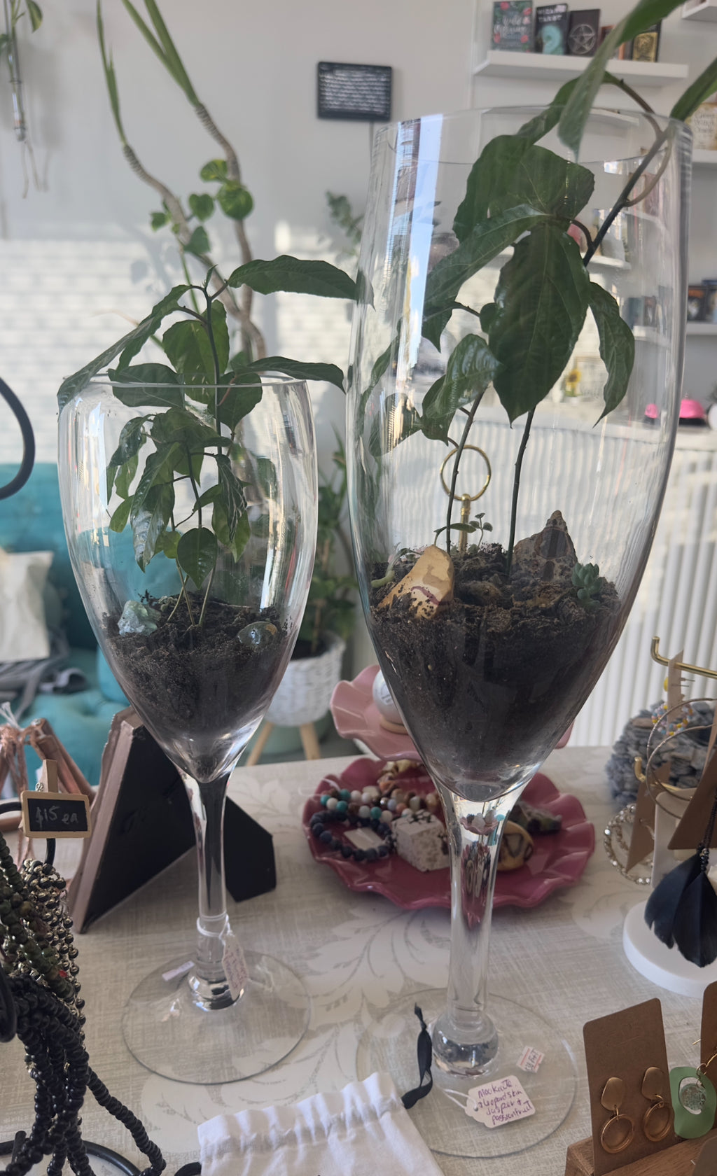 XL WINE GLASS PLANT