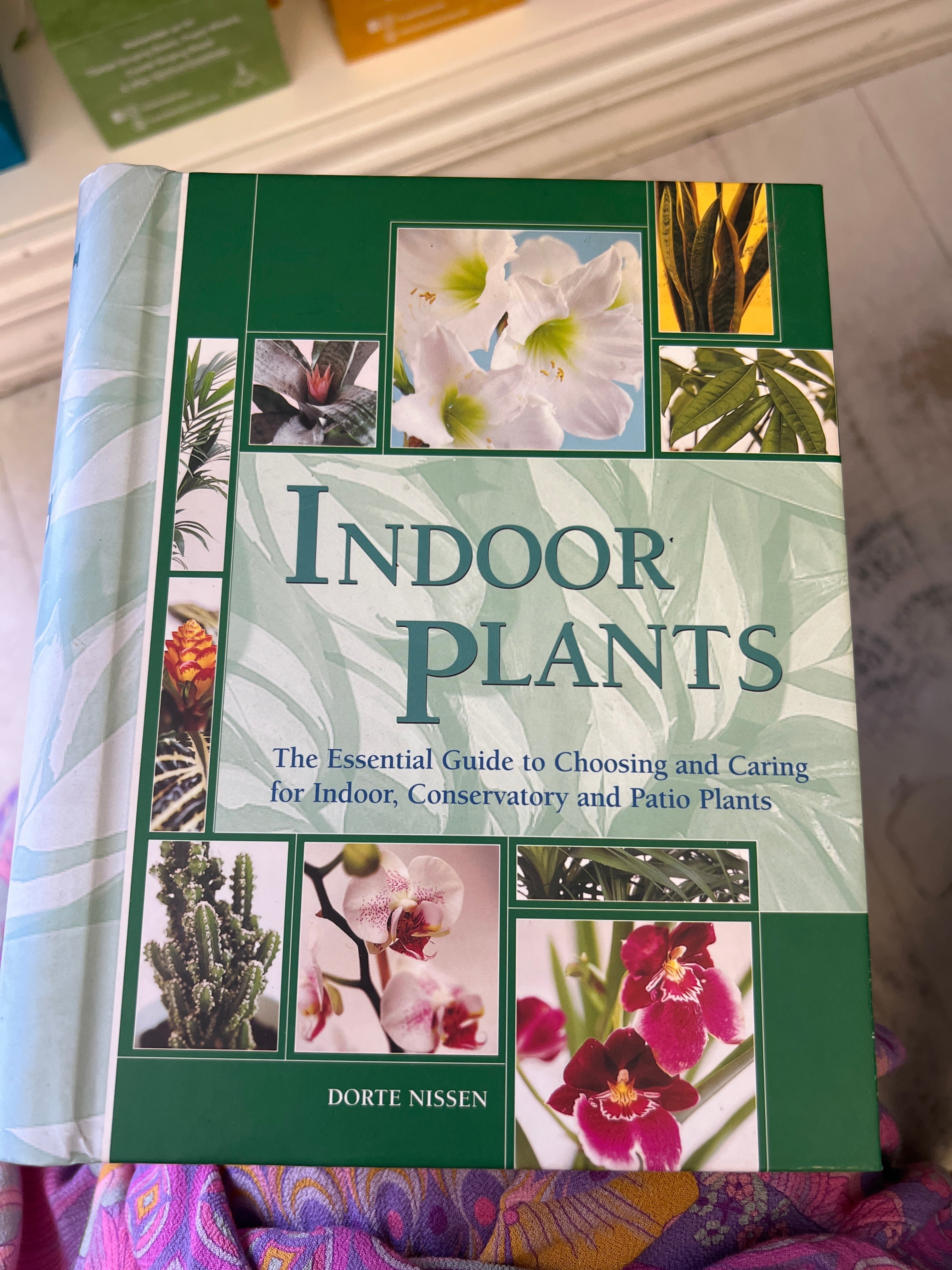Indoor plants