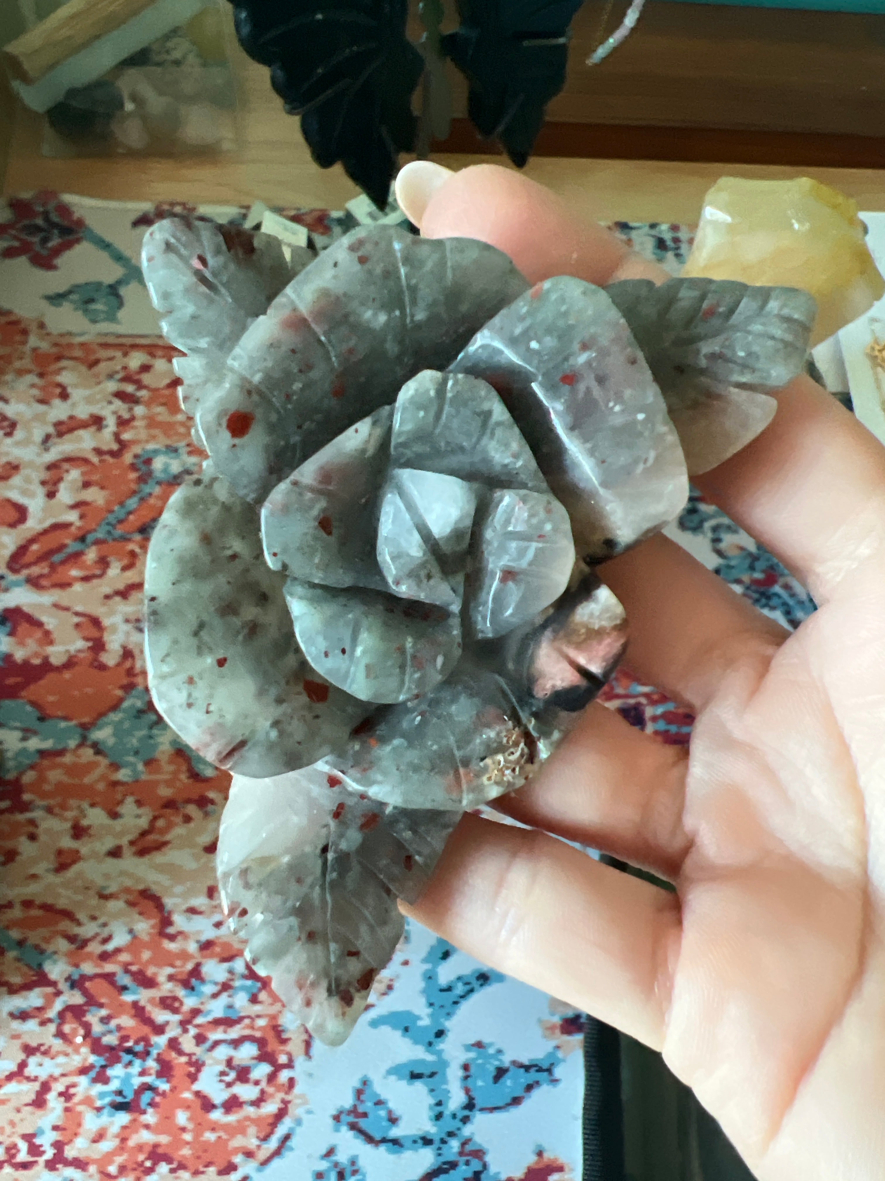 Bloodstone rose